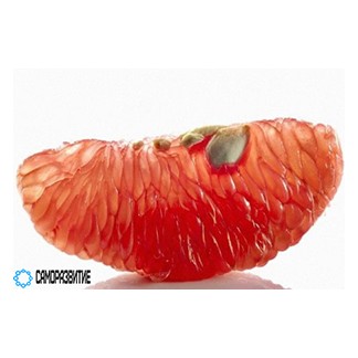 Сухой экстракт семени грейпфрута