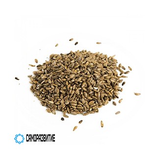 Сухой экстракт семян расторопши (силимарин 80%)-0