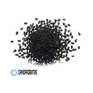 Сухой экстракт семян черного тмина (нигелла)-0