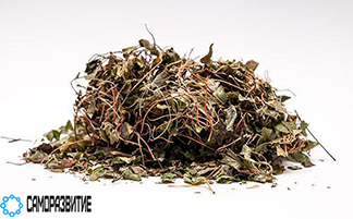 Сухой экстракт травы боровой матки-0