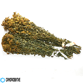 Сухой экстракт травы зверобоя (гиперицин 0.3%)-0