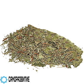 Сухой экстракт травы зизифора  (полифенолы 8%)-0