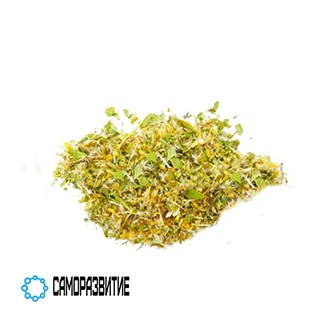 Сухой экстракт травы золотарника-0