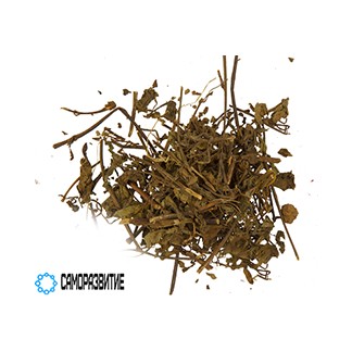 Сухой экстракт травы ортосифона-0