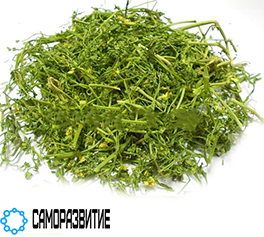 Сухой экстракт травы фиалки (танины 10% и рутин 2%)-0