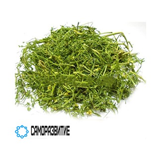 Сухой экстракт травы фиалки (танины 10% и рутин 2%)