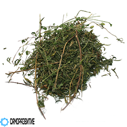 Сухой экстракт травы чабреца (флавоноиды 5%)-0