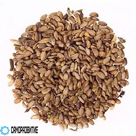 Сухой экстракт семян расторопши (силимарин 20%)-0
