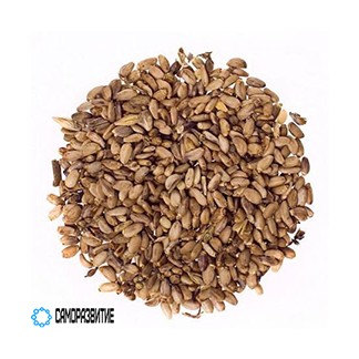 Сухой экстракт семян расторопши (силимарин 20%)-0