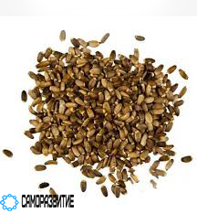 Сухой экстракт семян расторопши (силимарин 40%)-0