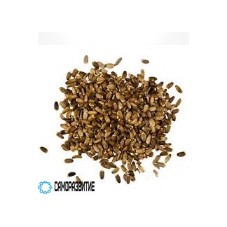 Сухой экстракт семян расторопши (силимарин 40%)-0