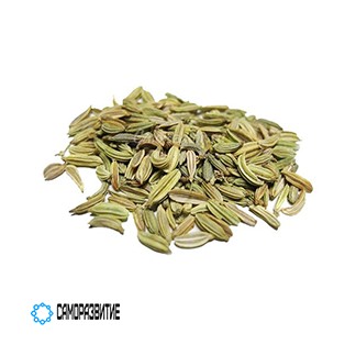 Сухой экстракт  семян Гриффонии (5-гидрокситриптофан 20%)-0