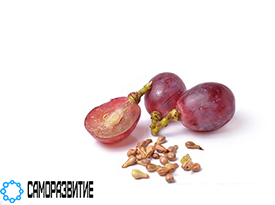 Сухой экстракт виноградной косточки (проантоцианиды 95%)-0