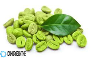 Сухой экстракт зеленого кофе (хлорогеновая кислота 20%)-0