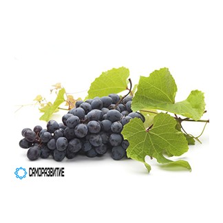 Сухой экстракт кожицы винограда (полифенолы 30%)