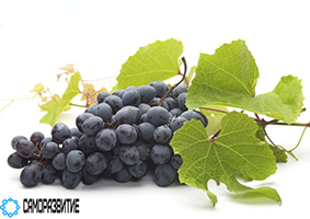 Сухой экстракт кожицы винограда (полифенолы 30%)-0