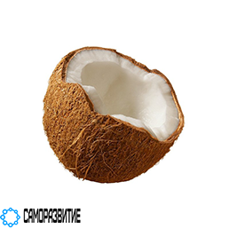 Сухой экстракт кокоса-0