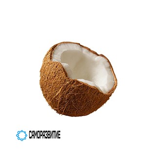 Сухой экстракт кокоса
