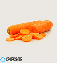 Сухой экстракт корнеплода моркови-0