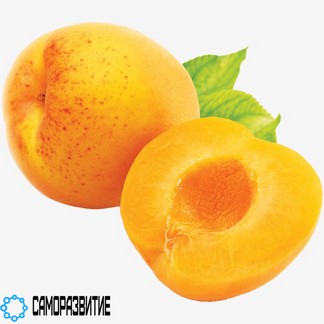 Сухой экстракт плодов абрикоса