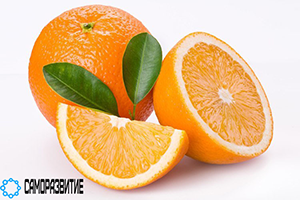 Сухой экстракт плодов апельсина-0