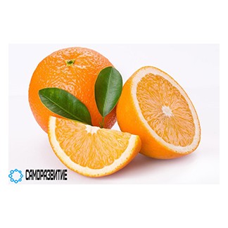 Сухой экстракт плодов апельсина-0