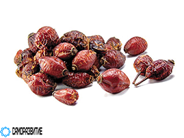 Сухой экстракт плодов боярышника (флавоны 0,05%)-0